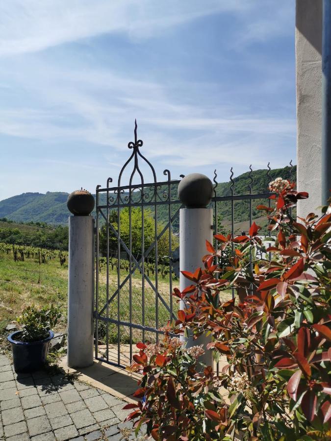 Weingut Amlinger&Sohn Daire Neef Dış mekan fotoğraf
